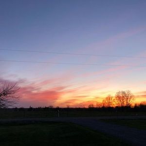 Meet your Posher, Josie